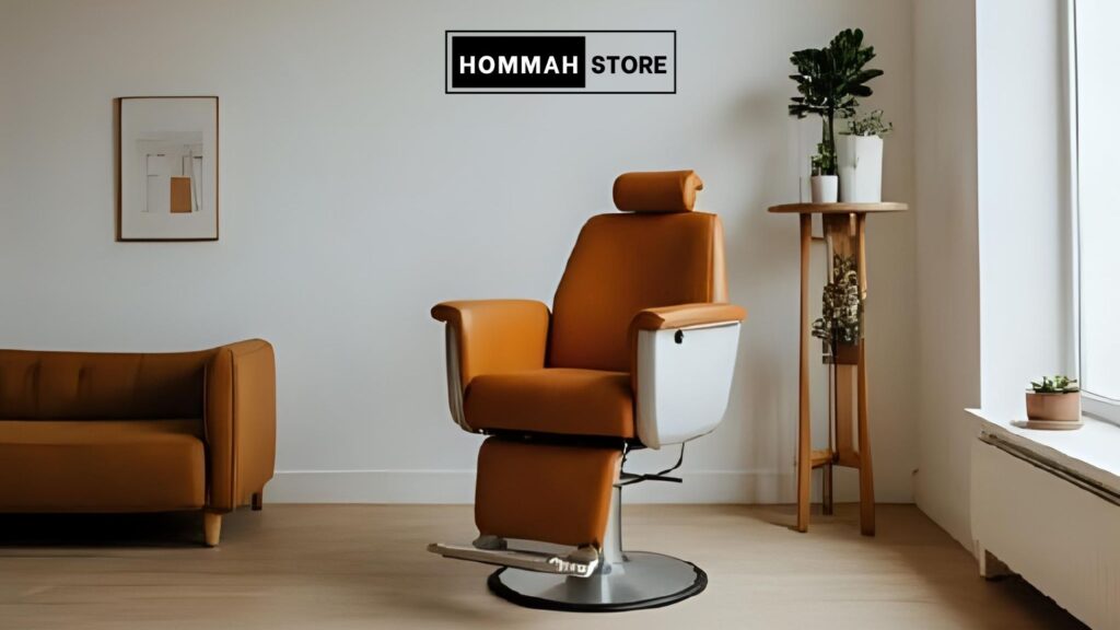 Professional Barber Chair